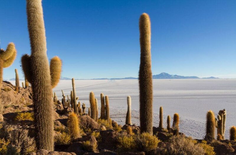 from-cusco-uyuni-salt-flat-tour-3-days-2-nights
