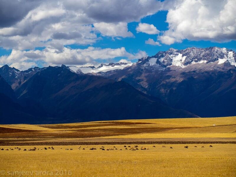 from-cuzco-maras-moray-and-salt-mine-tour