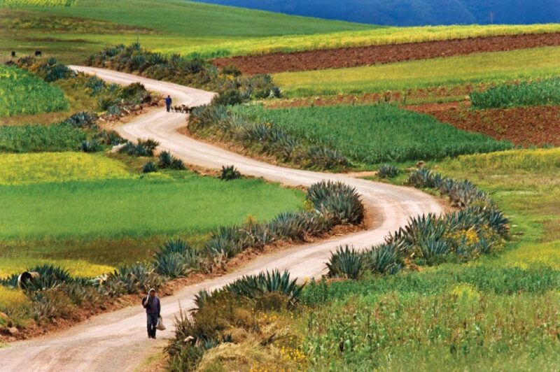 from-cuzco-maras-moray-and-salt-mine-tour