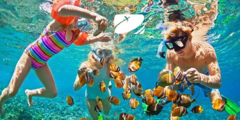 from-da-nang-cham-island-sightseeing-and-snorkeling-tour