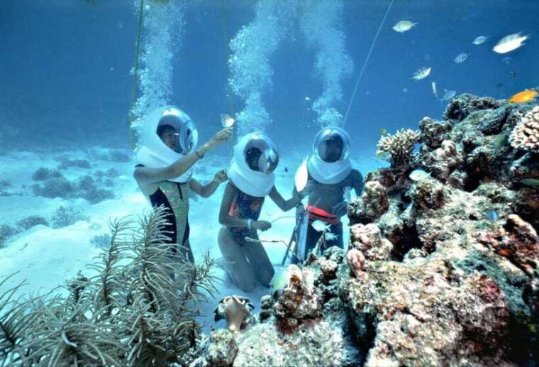 from-da-nang-cham-island-sightseeing-and-snorkeling-tour