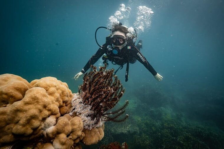 from-da-nang-cham-island-sightseeing-and-snorkeling-tourl