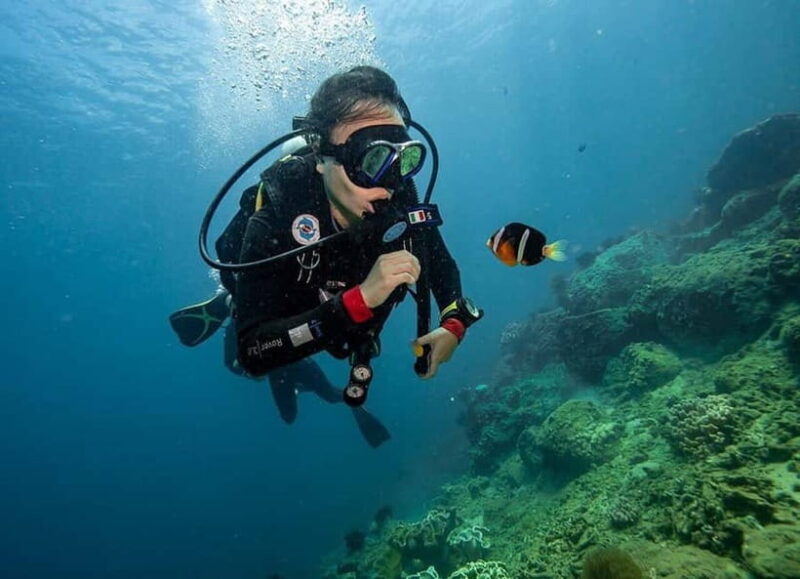 From Da Nang/Hoi An: Cham Islands Tour with Snorkeling - Final Thoughts