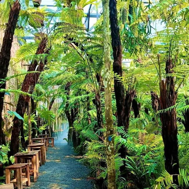 from Da Nang: Hoi An Instagram Cafe Tour with Rooftop View - Exploring Hoi An in a Few Hours: What to Expect