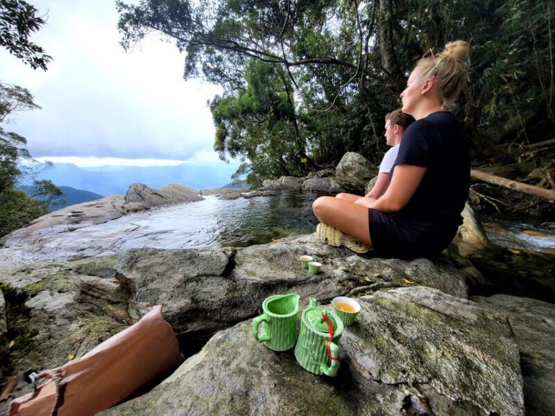 From Da Nang or Hoi An: Bach Ma National Park Trek & Lunch - Final Thoughts: Is This Tour Right for You?