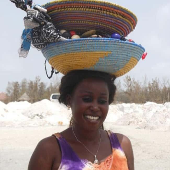 From Dakar: Pink Lake and Jeep Tour with Hotel Pickup - Who Will Love This Tour?