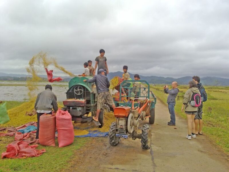 From Dalat: 4D3N Central Highlands Explorer Loop - Final Thoughts