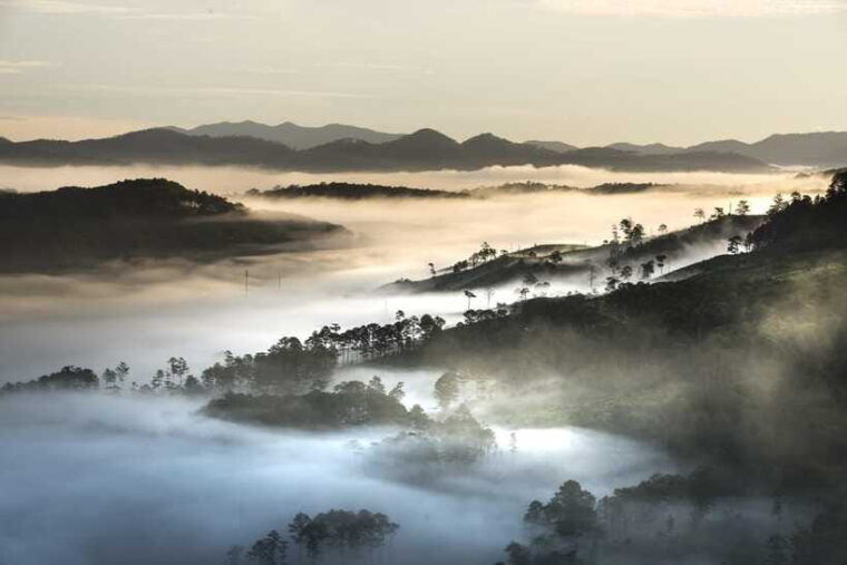 from-dalat-sunrise-tour-hike-over-misty-valley