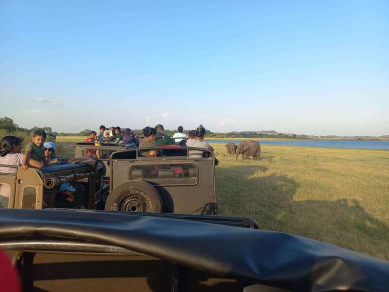 from-dambulla-minneriya-national-park-wild-jeep-safari