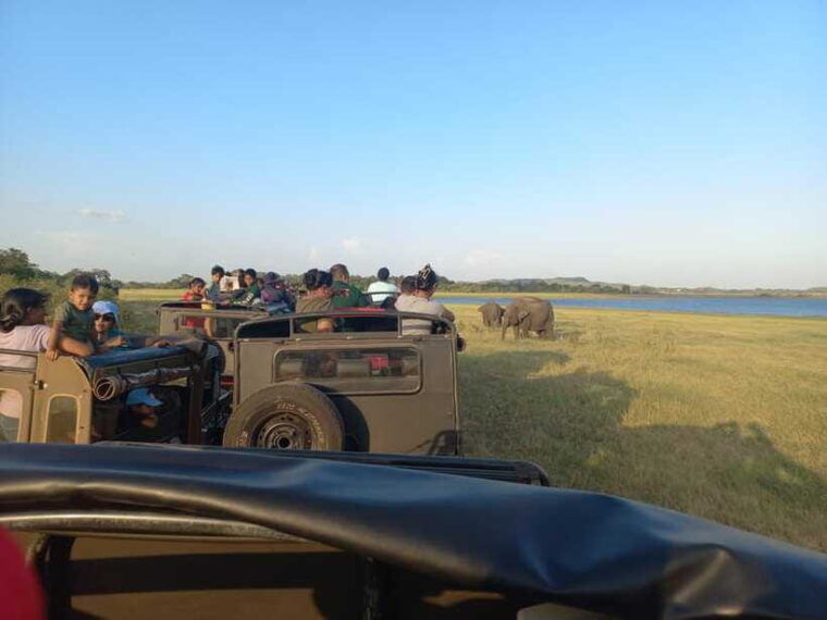 from-dambulla-minneriya-national-park-wild-jeep-safari