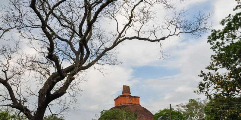 from-dambulla-sacred-city-of-anuradhapura-private-day-tour