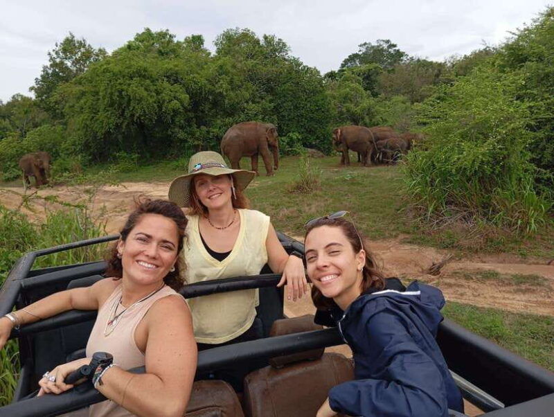from-dambulla-sigiriya-minneriya-national-park-4hr-safari