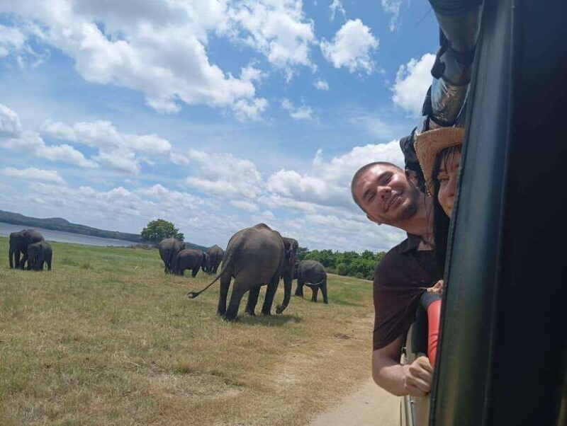 from-dambulla-sigiriya-rock-fortress-and-minneriya-safari