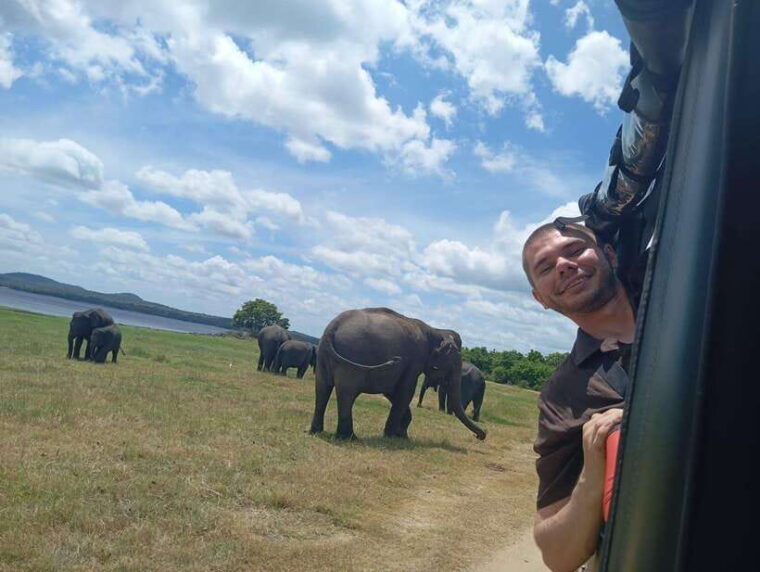 from-dambulla-sigiriya-rock-fortress-and-minneriya-safari