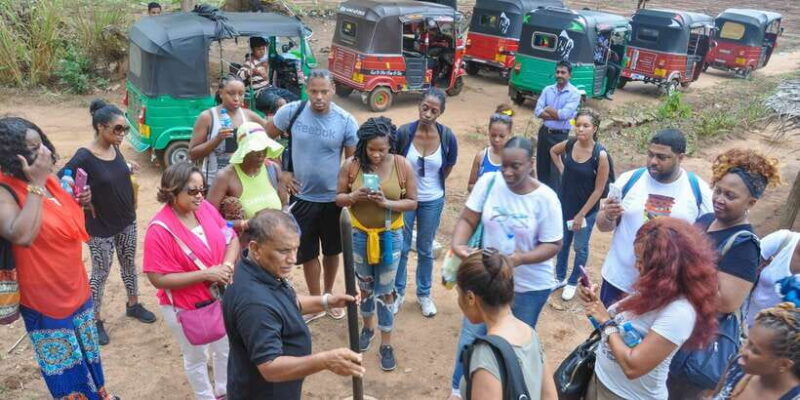 from-dambulla-sigiriya-rock-village-and-minneriya-tour