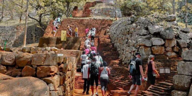 from-dambulla-sigiriya-rock-village-and-minneriya-tour