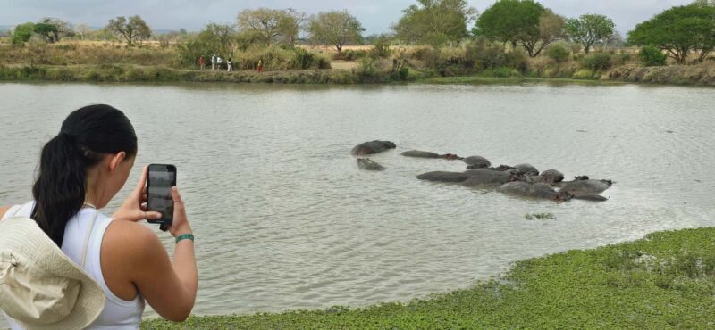 From Dar es Salaam: 3 Days Safari to Mikumi Park with Maasai - The Planning and Transportation