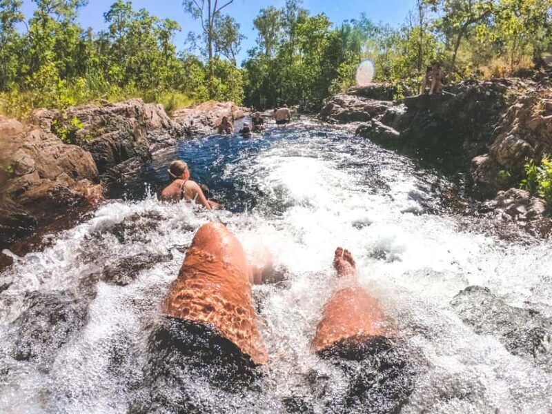 From Darwin: 1-Day Litchfield & Waterfalls Tour - Authentic Experiences from Fellow Travelers