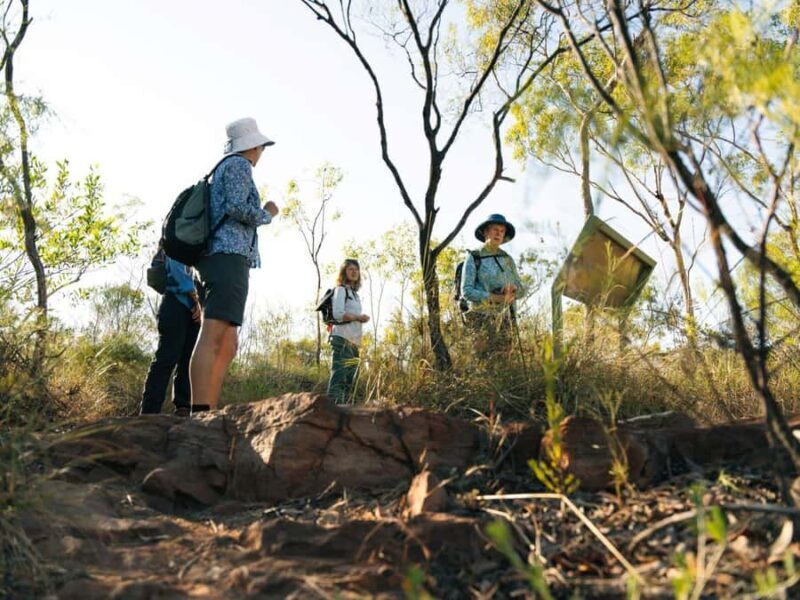 From Darwin: 4-Day Kakadu, Katherine & Litchfield Explorer - Final Thoughts: Who Is This Tour for?