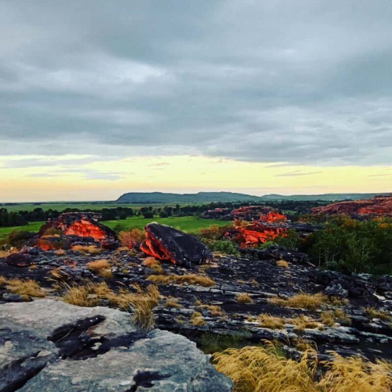 From Darwin: Kakadu 2-Day Tour - From Darwin: Kakadu 2-Day Tour — A Complete Guide to Nature and Culture in the Top End