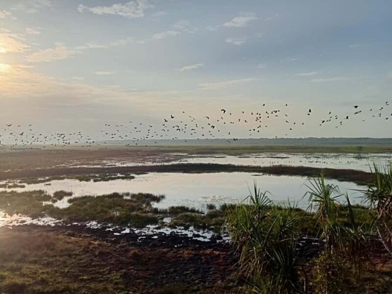 From Darwin: Kakadu 2-Day Tour - Day Two: Adventure or Serenity