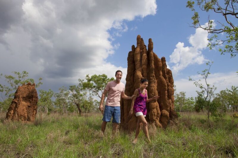From Darwin: Kakadu National Park Full Day Tour - Key Points