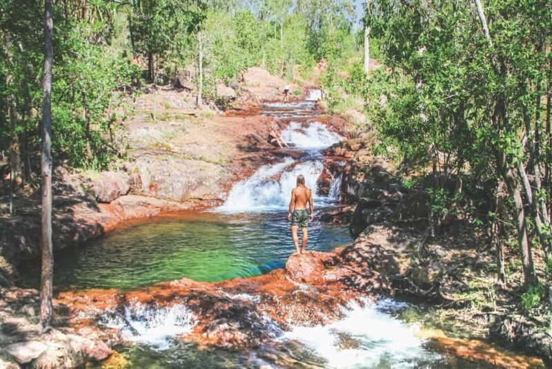 From Darwin: Litchfield National Park Day Trip - Introduction