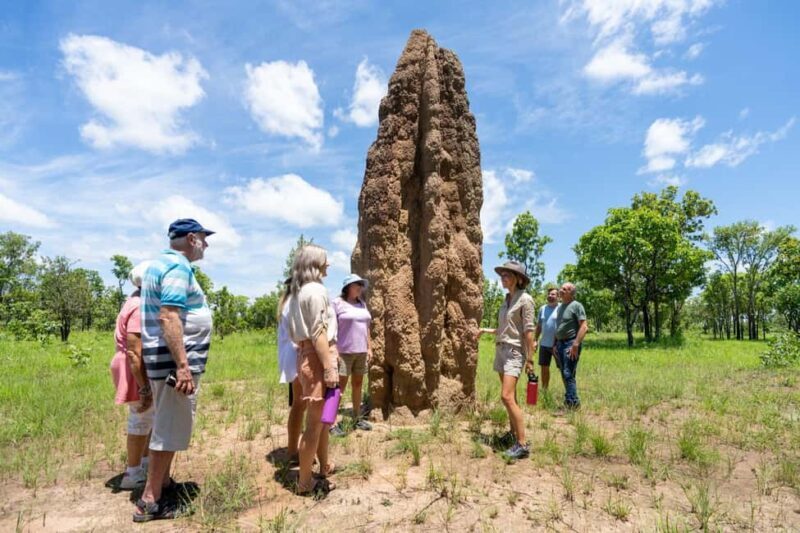 From Darwin: Litchfield National Park Day Trip - Key Points