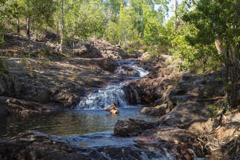 From Darwin: Litchfield National Park Day Trip - Itinerary Breakdown