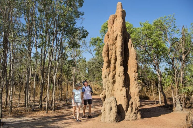 From Darwin: Litchfield National Park Full Day Tour - What to Expect on the Tour