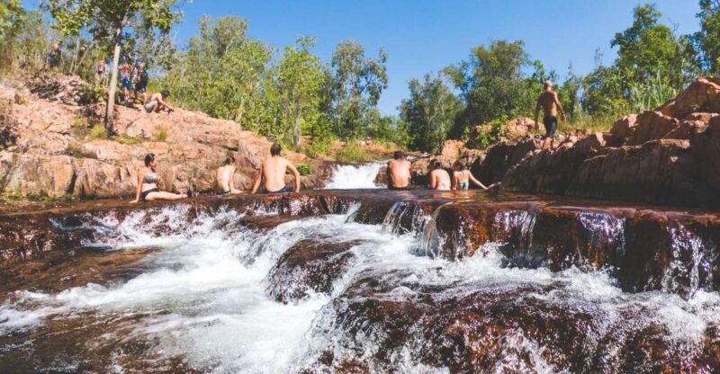 From Darwin: Litchfield National Park Full Day Tour - Authentic Experiences and Insights from Reviews