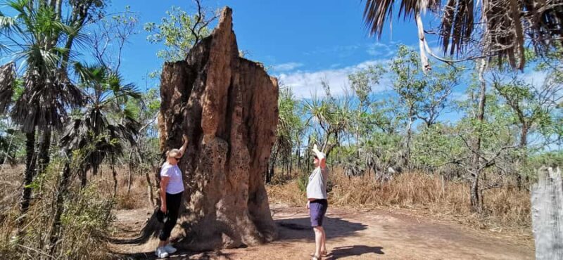 From Darwin: Litchfield National Park Small-Group Day Trip - The Journey Begins from Darwin