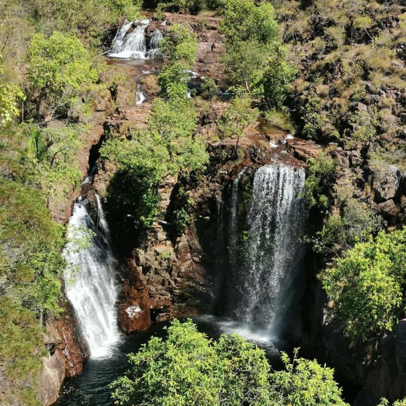 From Darwin: Litchfield National Park Small-Group Day Trip - The Termite Mounds: Natural Architects
