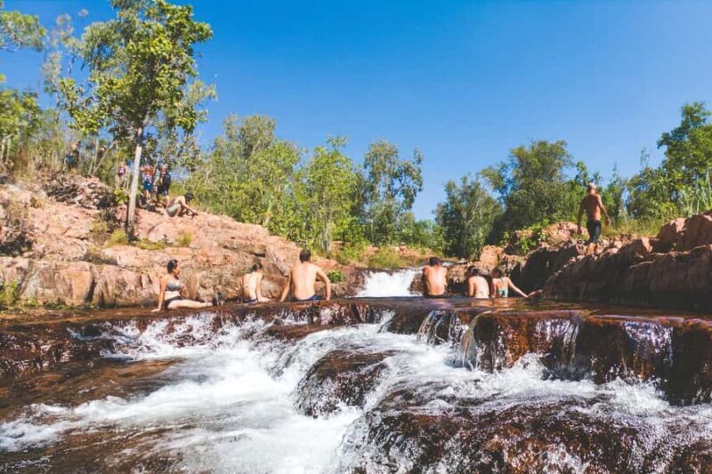 From Darwin: Litchfield National Park & Waterfalls Day Trip - Iconic Florence Falls and Tolmer Falls