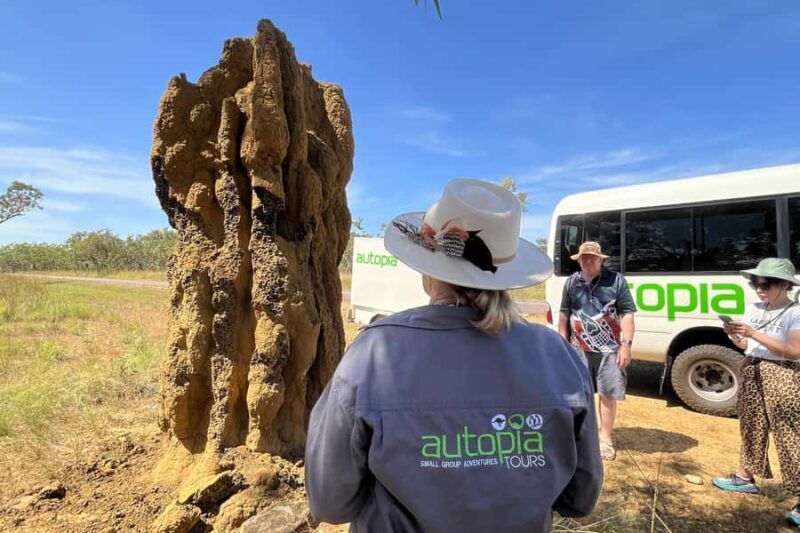 From Darwin: Litchfield National Park & Waterfalls Day Trip - Final Stops and Return to Darwin