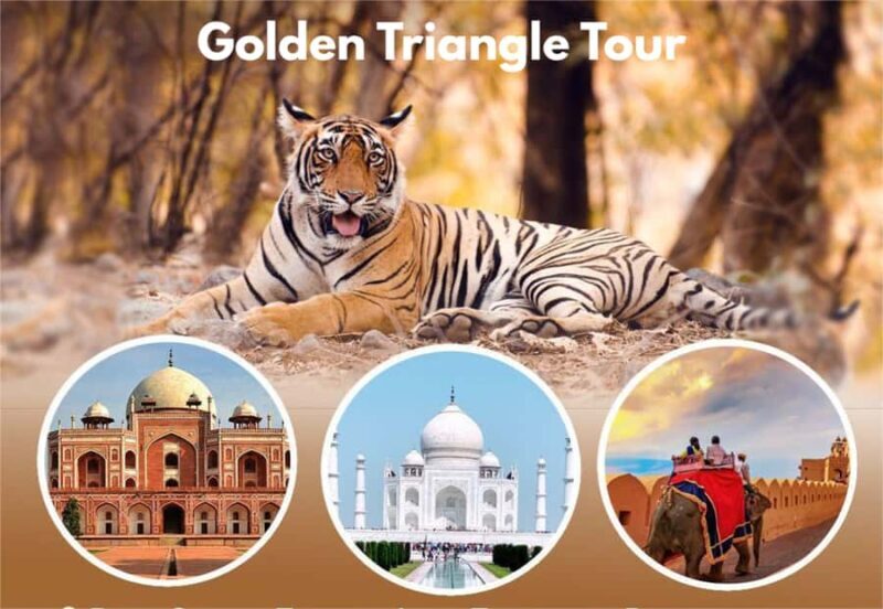 From Delhi: 3-Day Golden Triangle Tour with Tiger Safari - Key Points