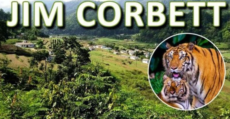 From Delhi: 3-Day Wildlife Trip to Jim Corbett National Park - An Overview of the 3-Day Wildlife Trip