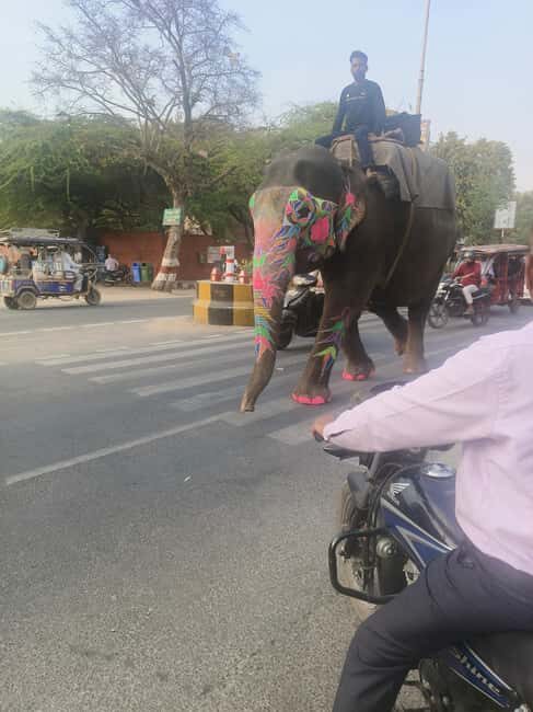 From Delhi: 3 Days Golden Triangle Tour - Final Thoughts