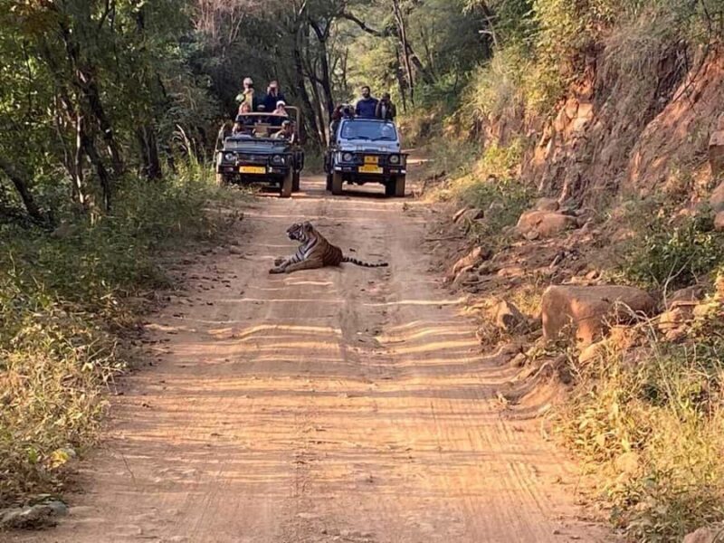 From Delhi: 3 Days Golden Triangle Tour With Tiger Safari - Key Points