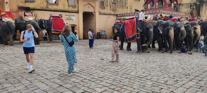 From Delhi: 4 Days Golden Triangle Tour with Ranthambore - Practical Details and Insights