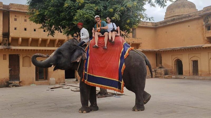 From Delhi: 5-Day Golden Triangle and Tiger Safari Tour - The Sum Up