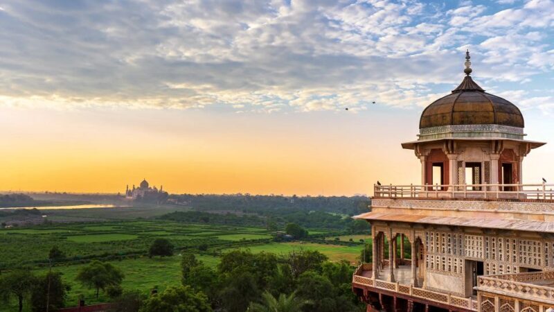 From Delhi: 5-Day Tiger Safari & Golden Triangle Tour - Analyzing the Value
