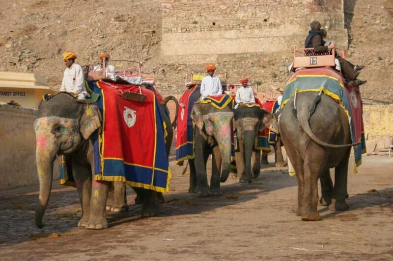 From Delhi: 5 Days Golden Triangle (Delhi Agra Jaipur) Tour - Introduction