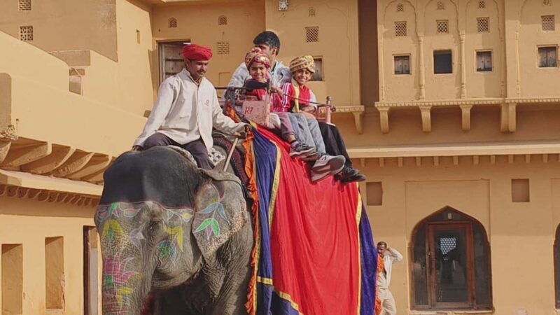 From Delhi: 5 Days Golden Triangle Tour - Final Thoughts: Who Is This Tour Best For?