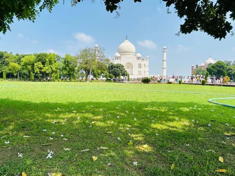 From Delhi: All Inclusive Taj Mahal Tour with Photographer - Transport and Comfort