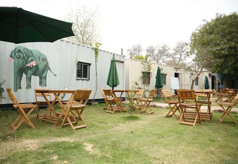 From Delhi : Elephant Conservation and Care Centre -Wildlife - Pricing and overall value