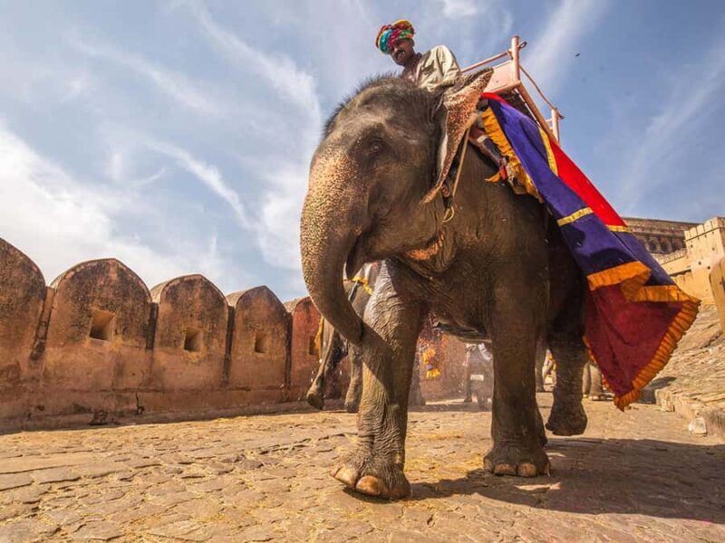 From Delhi : Exclusive Golden Triangle 4-Day Luxury Tour - Exploring Delhi: A Dynamic Capital
