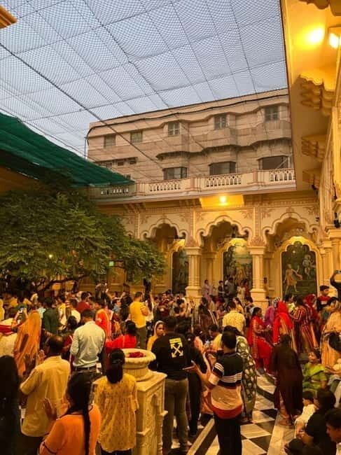 From Delhi/Jaipur: Taj Mahal & Elephant SOS Tour with Lunch - The Journey Begins: Pickup and Travel