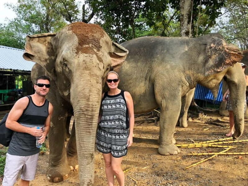 From Delhi: Jaipur Tour with Guide, Transport & Elephants - Why Choose This Jaipur Tour?