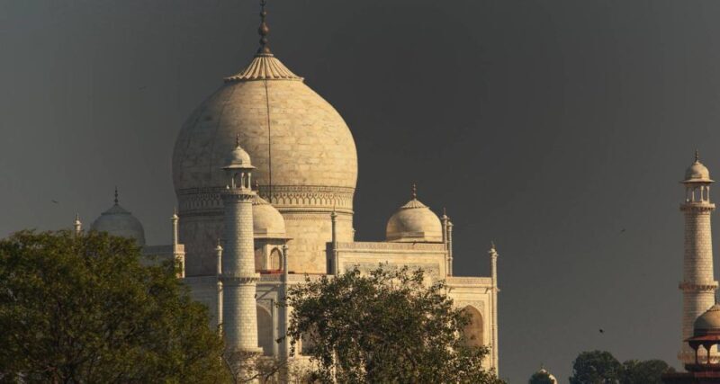 From Delhi: Private 5-Days Golden Triangle Tour with Hotels - Who Is This Tour Best Suited For?